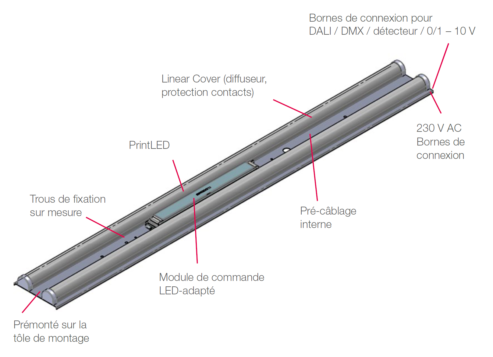 grafik-fl-roehre-fr.png